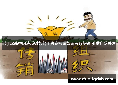 诺丁汉森林因违反财务公平法案被罚款两百万英镑 引发广泛关注 诺丁汉森林因违反财务公平法案被罚款两百万英镑 引发广泛关注